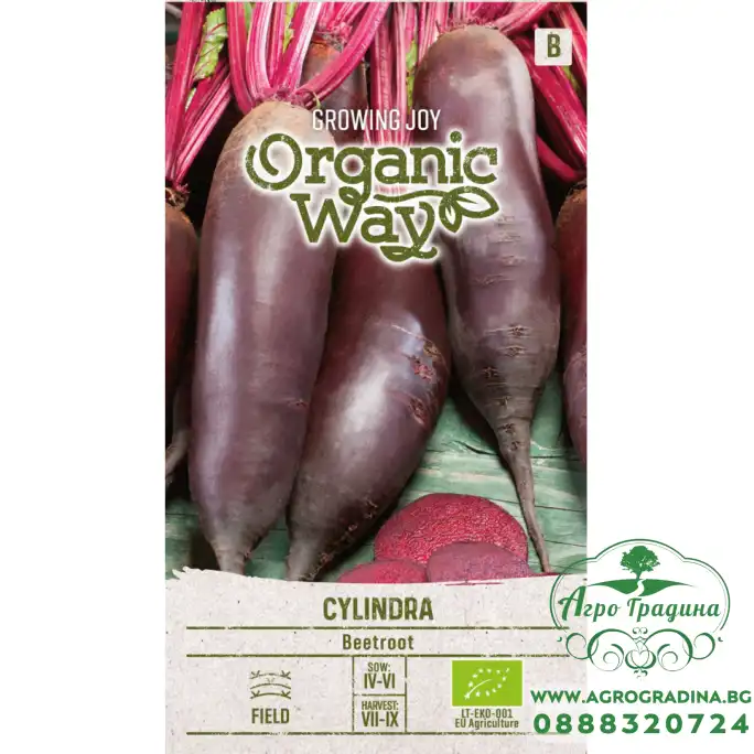 Органик Червено Цвекло Цилиндрично Cylindra