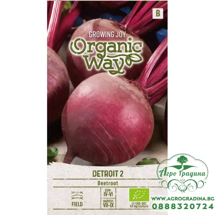Органик Червено Цвекло Детройт 2 Detroit 2
