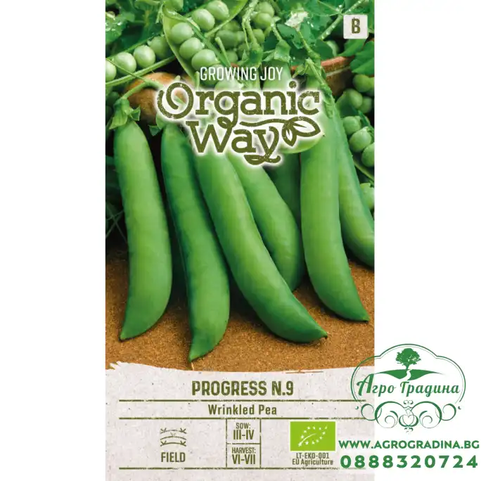 Органик грах Прогрес N9 Pisum sativum L Progress N9