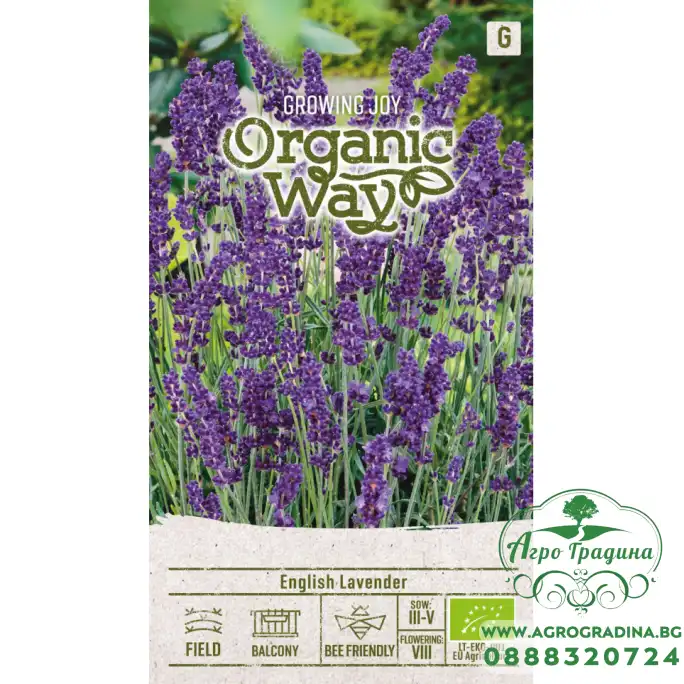 Органик Английска Лавандула Lavandula angustifolia Mill