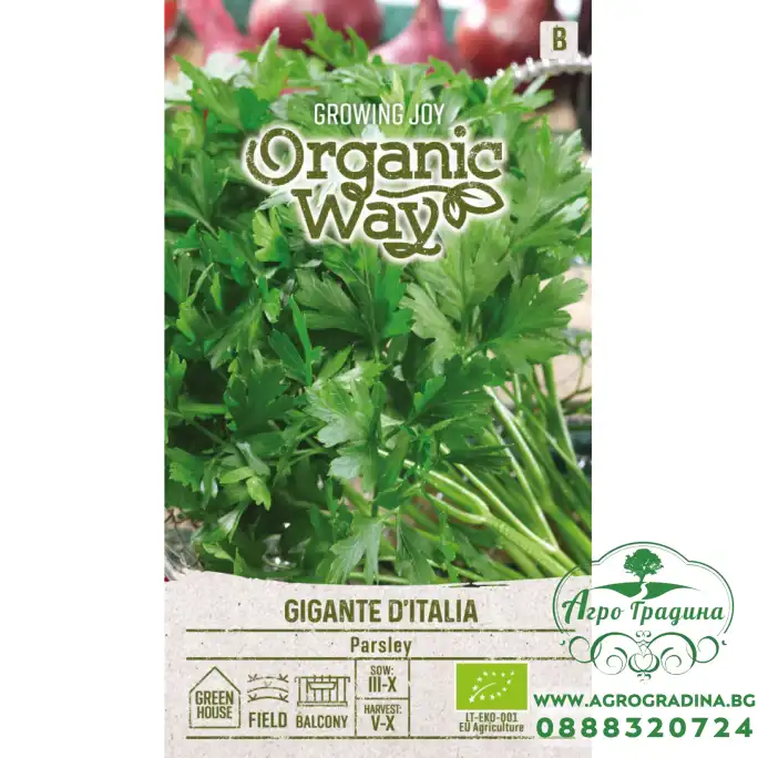 Органик Магданоз Италиански Гигант Gigante Ditalia