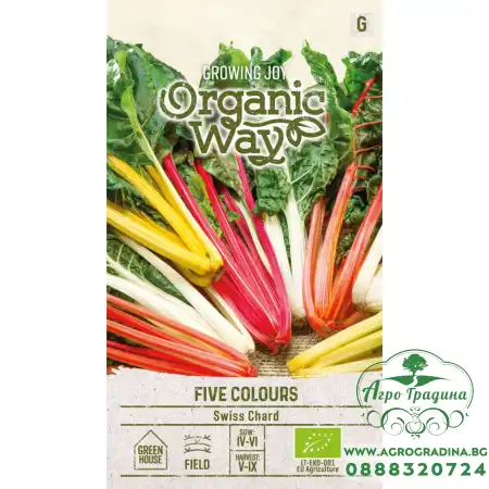 Органик Манголд Микс 5 цвята Beta vulgaris L Five colours