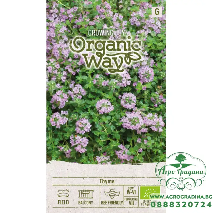 Органик Мащерка Thymus vulgaris
