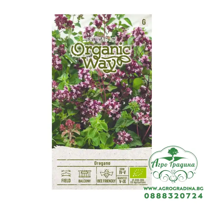 Органик Риган Origanum vulgare