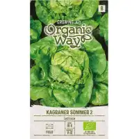 Органик Салата Кагранер Сомер 2 Kagraner Sommer 2