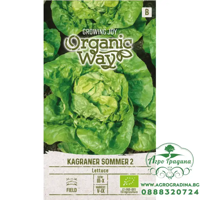 Органик Салата Кагранер Сомер 2 Kagraner Sommer 2 Органик Салата Кагранер Сомер 2 Kagraner Sommer 2