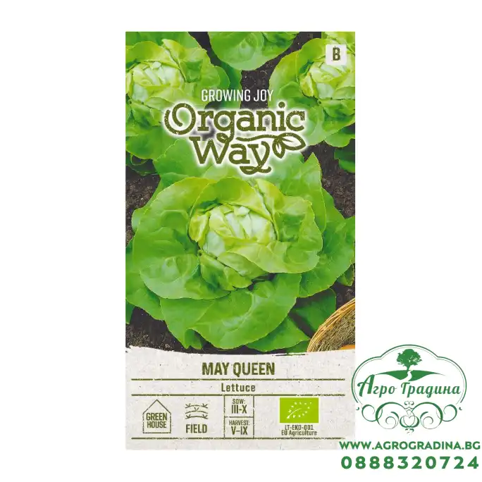 Органик Салата Майска Кралица May Queen Органик Салата Майска Кралица May Queen