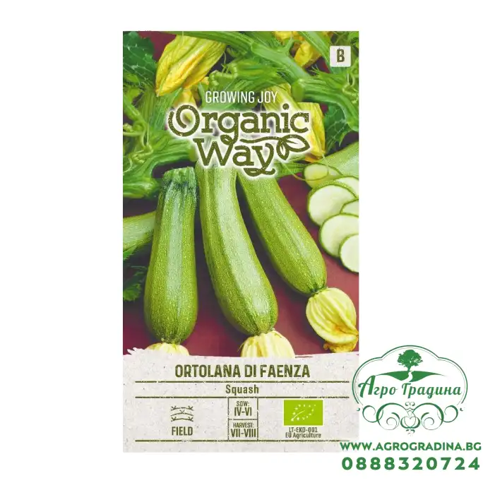 Органик Тиквичка Ортолана Ди Фаенца Ortolana di Faenza