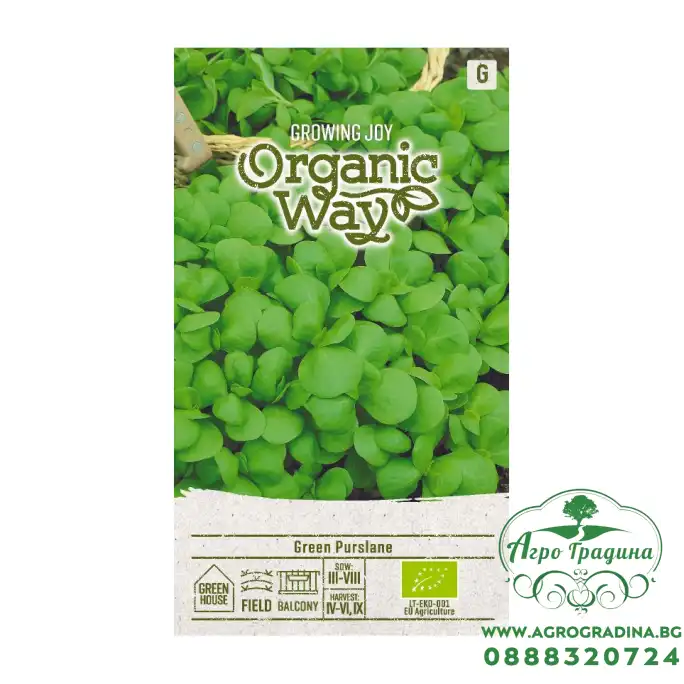 Органик Тученица Portulaca oleracea