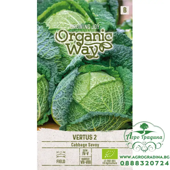 Органик Зеле Вертус 2 Vertus 2