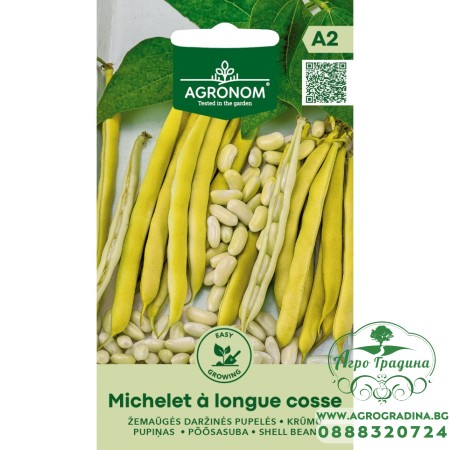 Фасул за зрял Мишел с дълги шушулки / Michelet a longue cosse (джудже)