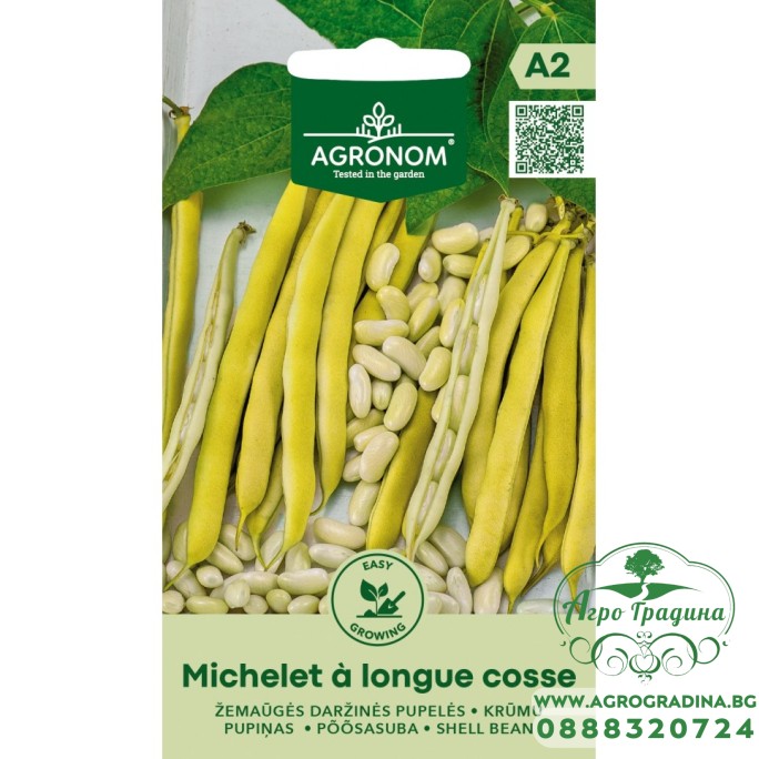 Фасул за зрял Мишел с дълги шушулки / Michelet a longue cosse (джудже)