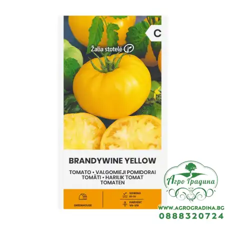 Домат Брендиуайн жълт Brandywine Yellow