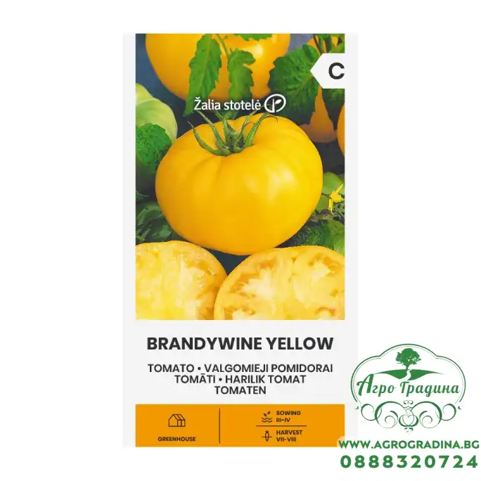 Домат Брендиуайн жълт / Brandywine Yellow