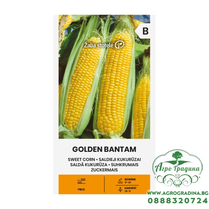 Царевица захарна Голдън батам / Golden Bantam