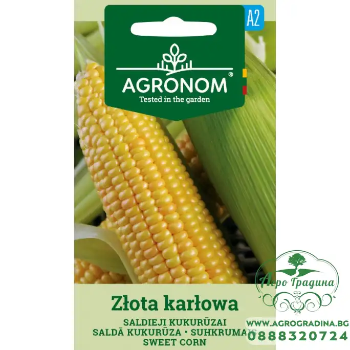 Царевица сладка Злота Карлова / Zlota Karlowa