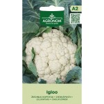 Карфиол Иглу Igloo