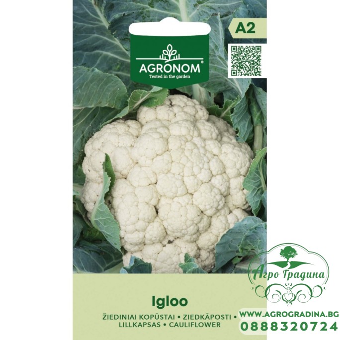 Карфиол Иглу Igloo