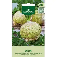 Целина главеста Албин Albin
