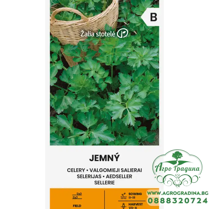 Целина Джемне Jemny