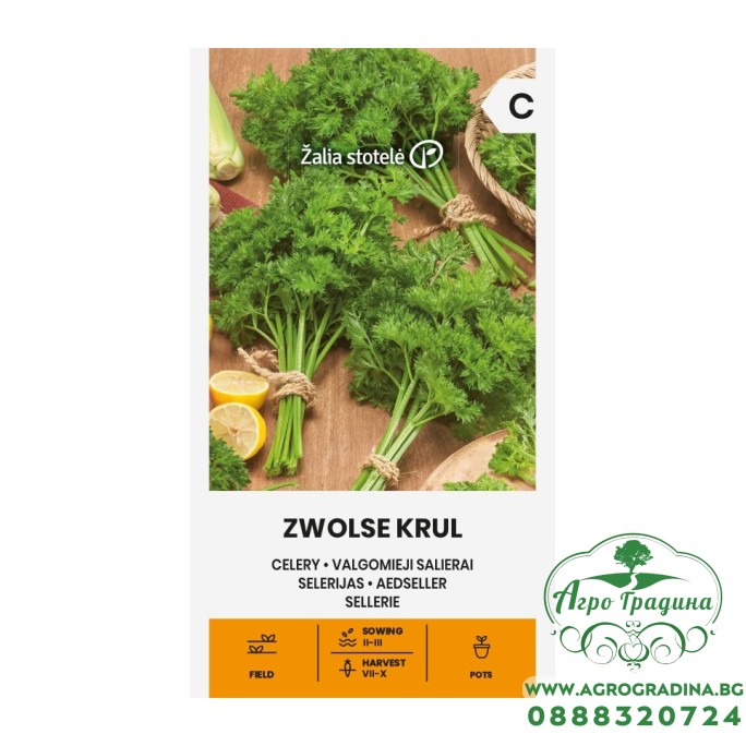 Целина Листна Къдрава / Zwolse Krul