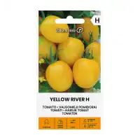 Чери домати Йелол рийвър F1 Yellow river H