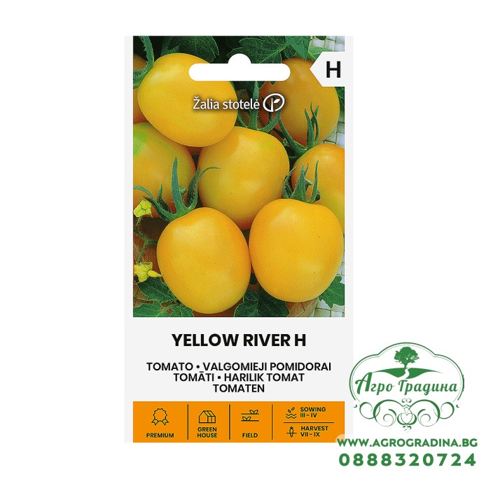 Чери домати Йелол рийвър F1 Yellow river H