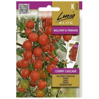 Чери Домати Каскадни / Cherry Cascade