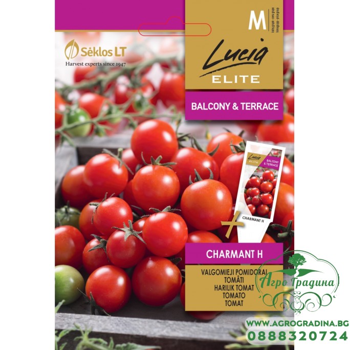 Чери Домати Шармант F1 Charmant H