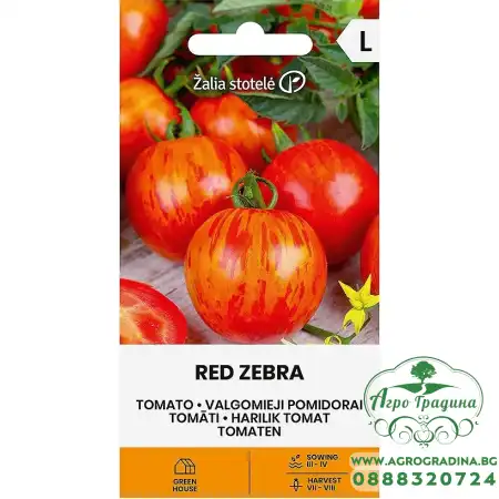 Чери Домати Червена зебра F1 Red zebra H