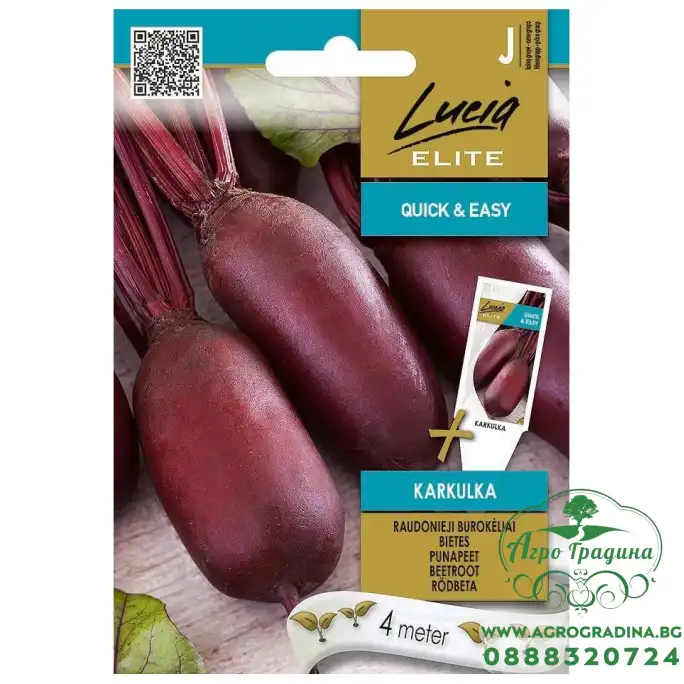 Семена на лента Червено Цвекло Каркулка Karkulka Семена на лента Червено Цвекло Каркулка Karkulka