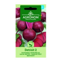 Салатно цвекло Детройт 2 / Beta vulgaris L