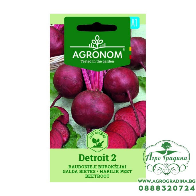 Салатно цвекло Детройт 2 / Beta vulgaris L