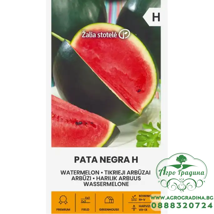 Диня Пата Негра F1/ Pata Negra H