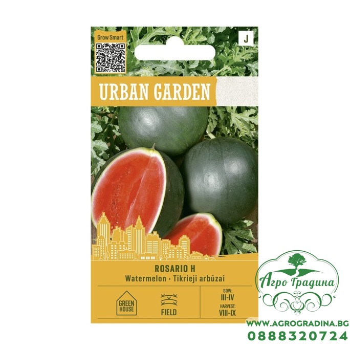Диня Росарио F1 Rosario H - Urban garden Диня Росарио F1 Rosario H - Urban garden