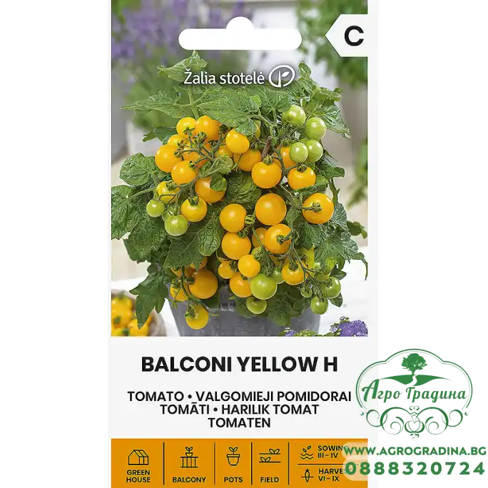 Домат Балконски Жълти (джудже) F1 Balconi Yellow Домат Балконски Жълти (джудже) F1 Balconi Yellow