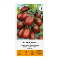 Домат Чери Черно издължено сорт Black Plum