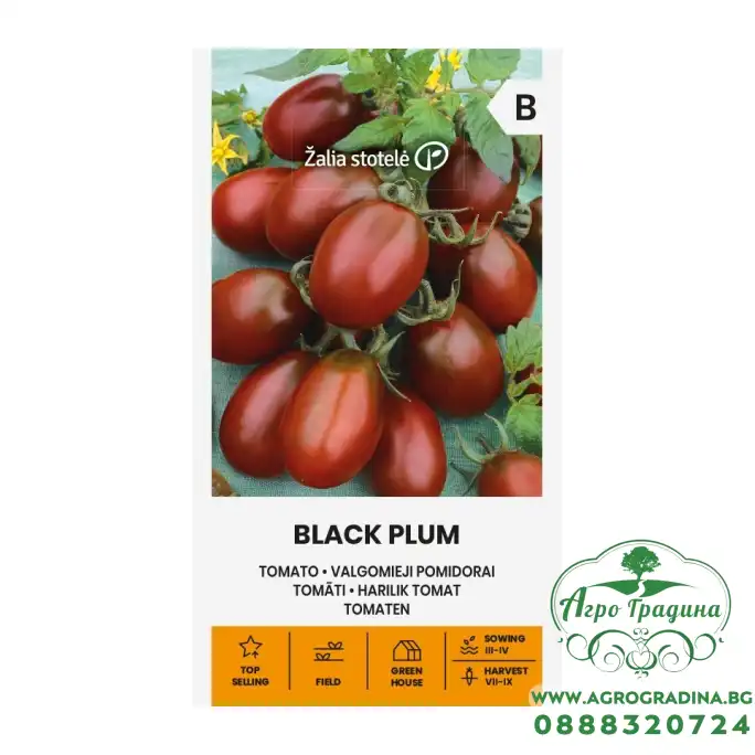 Домат Чери Черно издължено сорт Black Plum