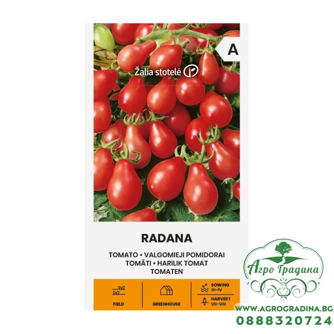 Домат Чери Радана Radana