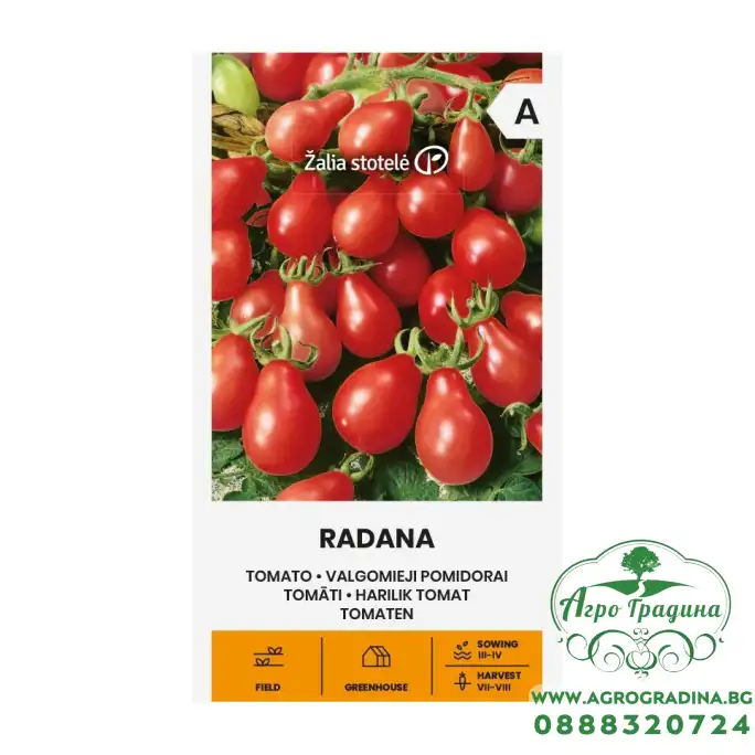 Домат Чери Радана Radana