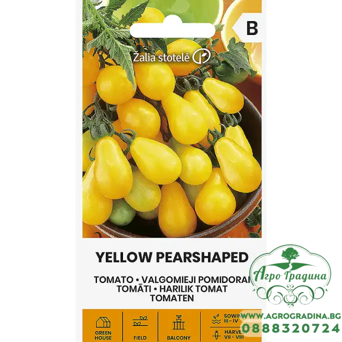 Домат чери жълти крушовидни Pearshaped
