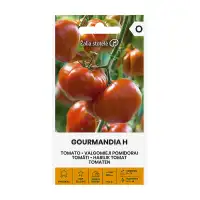 Домат Гурмандиа F1 Gourmandia H