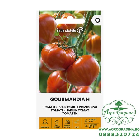 Домат Гурмандиа F1 Gourmandia H