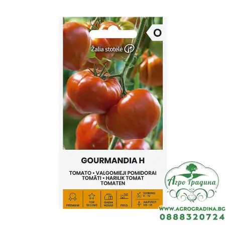 Домат Гурмандиа F1 Gourmandia H