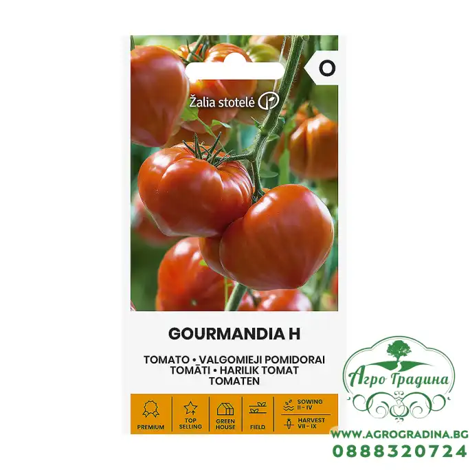 Домат Гурмандиа F1 Gourmandia H