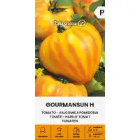 Домат Гурмансън F1 Gourmansun H