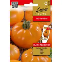 Домати Оранжев Уелингтън F1 / Wellington H