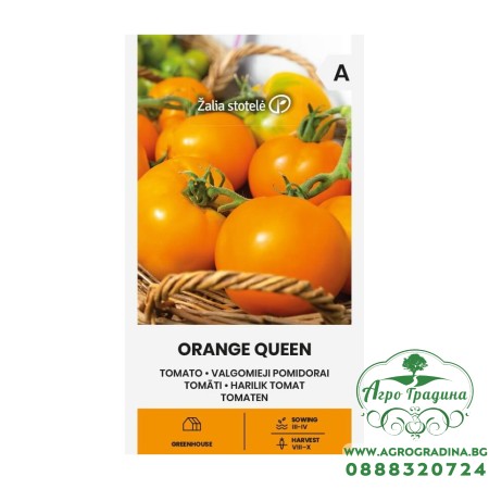 Домат Оранжева кралица / Orange Queen