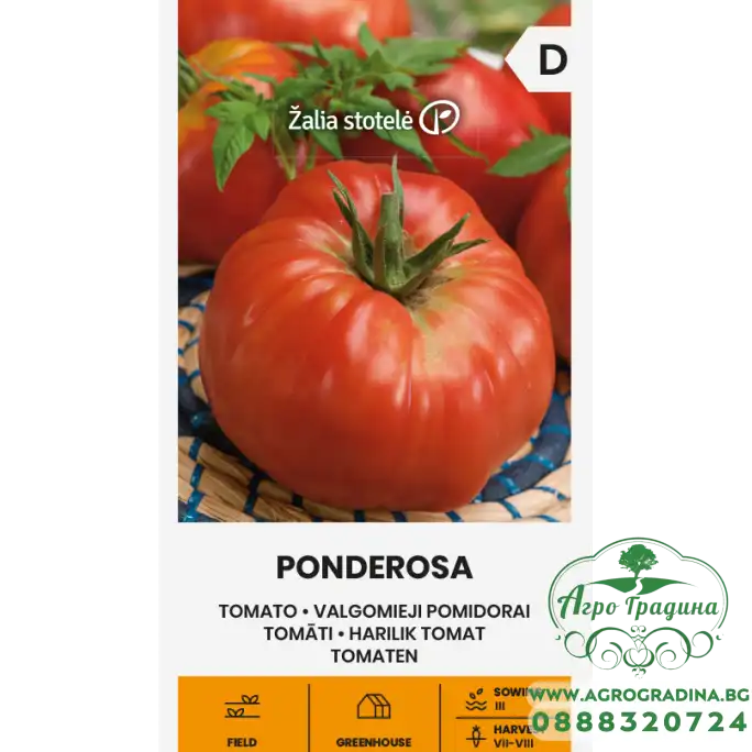 Домат Пондероса / Ponderosa