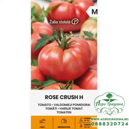 Домат Розова страст F1 / Rose crush H